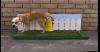 dogs love patio park dog potty for potty training